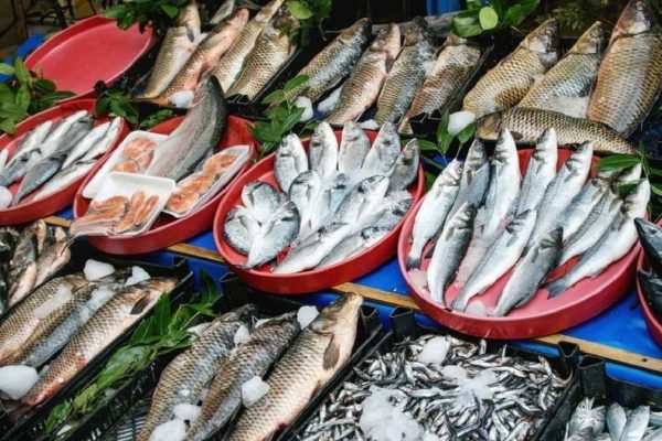 Ne Mezgit Ne Kalkan! Türkiye’nin Sofralarındaki Yeni Şampiyon Balık Açıklandı